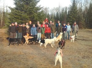 Karen Neal of Grand Marais shared this Thanksgiving Day photo of a group that has been dubbed the “Turkey Trotters.” Neal explained that a few friends started this Thanksgiving morning hike five years ago and the event has grown significantly. This year there were 23 people and 11 dogs. The walkers take a two-hour, six-mile hike past Blueberry Lake on the North Shore Snowmobile Trail off of the Meridian Road in Grand Marais. Not everyone knows each other at the beginning of the hike, anyway. Neal said all the energetic, smiley people were easily corralled and even nine of the 11 dogs cooperated for the picture. She added, “It’s a great way to rationalize eating the feast that follows in our separate homes.”