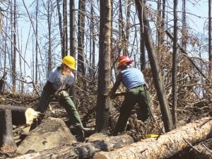 Several Superior National Forest Wilderness Program staff members are recipients of two national awards, one for excellence in wilderness research and the other for outstanding efforts to incorporate safety measures into the rehabilitation work in areas affected by the 2011 Pagami Creek Wildfire. This photo shows how daunting the Pagami Creek rehab work can be.