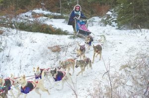 Rita Wehseler of Tofte struggled to keep her sled upright as her team rounded the corner onto Hungry Jack Lake.