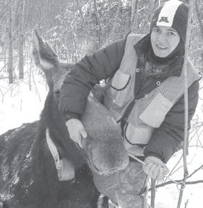 Larissa Minicucci, assistant professor at the University of Minnesota College of Veterinary Medicine, uses a special tool to place a mortality implant transmitter into this moose’s digestive tract, as part of a six-year mortality study of the moose in northeastern Minnesota. The transmitters are working—the researchers have learned of five deaths in the first month of the study.