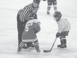 The Cook County Mite 2 team competed in a tournament at Rukavina Arena in Silver Bay last weekend. The young skaters from Lutsen, Grand Marais, Hovland and Grand Portage came together for an exciting finale to the season.