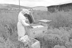 Local beekeepers may be willing to travel to learn more effective methods of beekeeping, including extracting and bottling honey. A 15-week course is being offered in Prior Lake, MN.