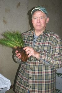 Right: Dick Dorr of Grand Marais displays a handful of seedling trees he received from Hedstrom Lumber Company on May 3. Above: Selecting trees is one of the 164 people who came to receive some of the 24,000 trees that Hedstrom Lumber donated this spring. Since (at least) 1997 Hedstrom Lumber has given trees to the community in an effort, said Howard Hedstrom, company president, “To be good stewards of the land. I hope we’re making a difference. We’re enthusiastic to do this and have heard many heart warming stories from people who have gotten trees from us over the years.” This year Hedstrom Lumber gave away coveted white pine, red pine and white spruce seedlings.