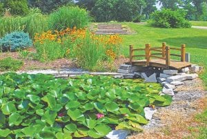 Art in the Garden will be held Saturday, June 1 at the Cook County Community Center. Participants can take part in sessions on garden yoga, stained class, metal garden art and of course, landscape art.