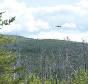 When daylight arrived on Friday, August 2, helicopters were brought in to assist in the search for Paul Brandt, 82, of Grand Marais. Brandt ,who lives at Nor’Wester Lodge on the Gunflint Trail, did not return from blueberry picking the evening before. The Cook County Search and Rescue ground search for Brandt was suspended on August 6 but community members continue to scour the area in hopes of finding some sign of Brandt.