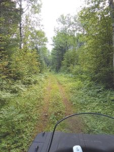 Although there are some great forest roads like this one to ride on in Cook County, local ATVers may want to travel to the ATVAM Fall Convention for a change of pace. The convention includes rides on Chisholm area trails and at the Gilbert OHV Park.