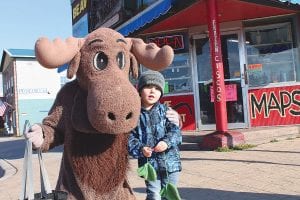 Be sure to look for Murray walking around the city of Grand Marais during Moose Madness, October 18-20. The almost life-size moose frightens some children, but not this little boy!