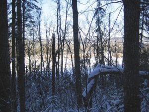 The proposed South Fowl snowmobile trail would offer this view of the Royal River to snowmobilers in the winter and hikers in the summer. The border of the Boundary Waters Wilderness is at the waterline of the river, approximately 400 feet from the base of this bluff.