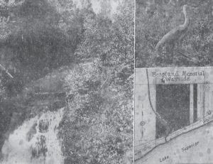 As construction of improvements at the Ray Berglund State Wayside in Tofte are wrapping up, we thought it might be time to share this interesting item shared by John Allen of Schroeder, a nearby property owner. According to the Pioneer Press article, an act of the Minnesota Legislature gave the scenic North Shore its ninth state park/wayside in April 1951. That area is now known as the Ray Berglund State Park, a tract of about 35 acres including the mouth of the Onion River and 1,020 feet of Lake Superior frontage. The project was a tribute to the memory of Ray Berglund Sr., a St. Paul lumberman, sportsman and conservationist who died on Thanksgiving Day 1948 of injuries suffered in a fall.