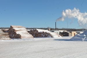 The sleepy, snow-covered wood at Hedstrom’s Lumber mill could fall under quarantine in the spring under a proposal put forth by the Minnesota Department of Agriculture. Despite attempts that began in 2006 to slow the spread of gypsy moths in Lake and Cook County, the moth population has grown faster each year, causing the Minnesota Department of Agriculture (MDA) to propose quarantine for Lake and Cook counties to restrict the movement of wood products starting this spring. The MDA is seeking public comment and public meetings will be held in the near future to discuss the implications of quarantine that will affect loggers as well as lumber mills.