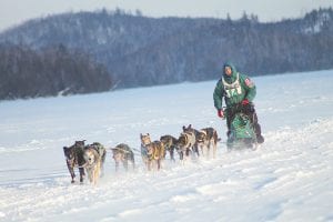 It was dog gone cold for the 2014 Gichigami Express Sled Dog Race! Fourteen dog sled teams started the race on Saturday, January 4 and 10 teams finished on Monday, January 6 in subzero temperatures. The race winner, Buddy Streeper with Streeper Kennel of Fort Nelson, British Columbia, is pictured here coming across Hungry Jack Lake in the first leg of the race. See more of the Gichigami Express action and a list of finishers on page A3.