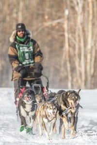 Matt Groth, who operates Grand Marais Sled Dog Adventures, had an adventure of his own on Feb. 1-2 when he raced—and won first place—in the 19th Annual Apostle Islands Sled Dog Race.