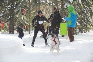 Humans and dogs alike had a great time at the “Best of Snow” skijor race on Saturday, March 1. Mike Schultonover and Smoke take off in the 4-mile race. Schultonover also raced in the 2-mile race with another dog, Shadow.