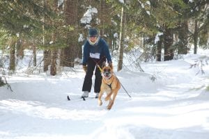 The first ever “Best in Snow” skijor race on Saturday, March 1 at George Washington Pines was a lot of fun for humans and canines. Finishing first in the 4-mile race was Rachael Seim and Oulak of Hovland. See more about the inaugural skijoring event on page A3.