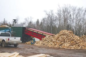 Above: A 24-hour auto-feed conveyor belt supplies the kiln firebox with dried wood for fuel. Left: Shawn and Dave Howe of North Shore Timber Products and Services LLC with Angelique Edgerton of the Cook County Invasive Species Team.