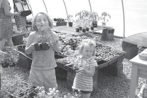 These young ladies were among the delighted shoppers at previous plant sales at Great Expectations School in Grand Marais. The variety of plants available—annuals, perennials, herbs and vegetables—is amazing. This year’s sale is Saturday, May 17 from 8 a.m. to 1 p.m.