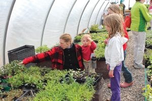 There was a lot going on in Grand Marais on Saturday, May 17, including the Great Expectations School plant sale and pancake breakfast. The selection of plants grown by students, staff and volunteers at Great Expectations is wonderful. This family picks out some flowers, but there was also an amazing array of herbs and vegetables to choose from.