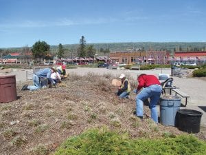 The Cook County Garden Club was very busy on Memorial Day, May 26. Club members gathered at Harbor Park in downtown Grand Marais to weed and trim the flowerbeds gracing the park. Sixteen people came out to work under sunny skies on Memorial Day. Garden Club President Frances Jarchow said people worked in the park for three hours. She said, “They worked really hard. They did a fantastic job!”