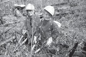 Volunteers are needed to help tend the young trees planted in the years following the 2007 Ham Lake Fire, which burned 76,000 acres. This year’s annual clearing event will be held beginning at 10 a.m. June 28 at Trail’s End Campground.