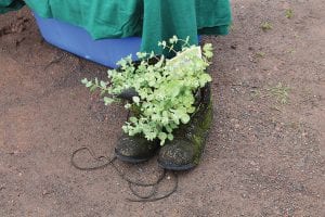 Above: Mary Jo Flack always has something fun at her booth, like this moss-covered creation, a Pa’s Paw Planter. Right: The festival includes a great lineup of musicians, including Bump (left) and Adam of Pushing Chain.