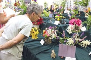 The Grand Marais Garden Club Flower Show was Friday, July 18 at the Cook County Community Center. Many people enjoyed the theme of Birds, Bees and Bouquets.