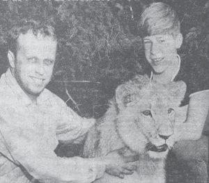 How did the Grand Marais Lions Club promote the annual Lions’ Fisherman’s Picnic in 1968? By bringing a real lion to town, of course! Shown with Caesar in this July 25, 1968 front-page photo is his owner, Berkley Lewis, left, and Bruce Bradley. Caesar is only 10 months old, but eats five pounds of meat and dog food a day and weighs 140 pounds. He’ll weigh between 500 and 600 pounds when fully grown, but is not as dangerous as one would think – he has had his fangs cut and is declawed. Lewis said he bought the felis leo from a zoo when Caesar suffered paralysis of his hind legs. “He’s a house pet,” Lewis said, adding that Caesar lives in the basement but comes upstairs occasionally for some TV.