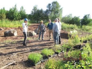 The latest rain garden to be built in Cook County is also the largest. It can be seen on the Cook County Community Center grounds north of the hockey rink. Cook County Soil and Water Conservation District staff, members of the Minnesota Conservation Corps, and Cook County Master Gardeners worked diligently to clear and plant native plants.