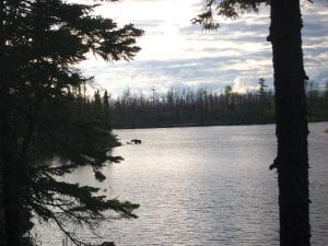 Off in the distance, a mother and calf can be seen near one of two islands on West Pope Lake that have served as a safe haven for decades. Until recently the islands were unnamed, but this summer Tom Bettenhausen set out to change that; to recognize the importance of the islands to the moose of the Gunflint Trail. On Tuesday, August 26 the island names became official.