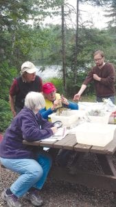 On Thursday, August 28, participants in a workshop on Aquatic Vegetation took a close up look at various types of water plants.