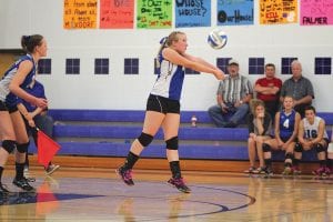 Viking volleyball is off to a good start with two wins. Top: Jamie Sjogren bumped a ball to her front line, one of many excellent plays in the August 28 game. Left: Lily Gruber-Schulz taps a ball over the net. Above: No, Maddy Roy isn’t “surrendering,” she is setting the ball during the Vikings’ home game against Marshall.