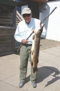 Left: Dan and Ray Scurlock traveled all the way from Shreveport, Louisiana to go fishing in Cook County. Guided by Joe Carlson of Joe’s Inland Guide Service, 90-year-old Ray Scurlock caught this nice northern pike in an undisclosed Cook County lake. The big fish is 36 inches long and weighs 15 pounds. The men also caught some nice eater-sized walleyes and one smaller northern.