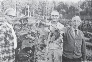 The annual garden tour at Lutsen Gardens was held Sept. 6, 1974, and conducted by Dr. Arvo Kallio, area extension horticulturist from the University of Minnesota-Duluth. The gardens were developed by Lloyd Scherer, left, and Gerald Eisler, Cook County Extension Agent, center, who served as moderator for the evening’s events.