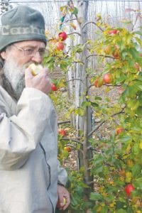 Sampling one of his many varieties of apples, Ray Block checks for texture and taste before giving the left over to the chickens, which roam his orchard and keep it relatively free of bugs.