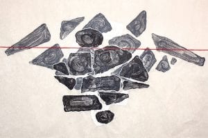 The Grand Marais Art Colony is hosting Liminal Space: Lynn Speaker Solo Exhibition from January 9 to February 1 at the Art Colony’s studio in Grand Marais. This acrylic monoprint on Sekishu paper entitled Floating is an example of Speaker’s mixed media works.