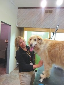 Terri Goettl was all smiles as she brushed the fur of Losha Willis, who was one happy dog as she got brushed, bathed and her nails clipped at Goettl’s new Dog Hüs pet supplies and grooming store that adjoins the Arrowhead Pharmacy. Appointments for grooming can be made by calling 387-1133.