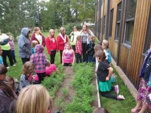 As part of her work toward earning her Girl Scout Gold Award, MaeAnna LaFavor talked to younger Girl Scouts about her community garden at Bethlehem Lutheran Church. Left: MaeAnna picks some beautiful carrots. The harvest from her community garden was donated to the Cook County Food Shelf.