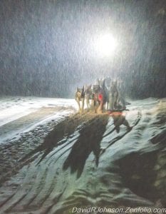 With the musher’s headlamp glowing, teams looked almost ghostlike as they softly padded into the Devil Track Lake checkpoint. The John Beargrease Sled Dog Marathon started in Two Harbors on Sunday, January 25. Mushers and dogs traveled the trails of Cook County from the Sawbill Trail checkpoint to Devil Track Lake to Poplar Lake and on a wilderness loop on the Gunflint Trail before heading back down to Two Harbors.