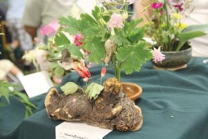 Through the winter the Grand Marais Garden Club continues to meet to talk about flowers and to make future plans. One of the nicest events hosted by the Garden Club is an annual Flower Show. One of the lovely displays from years past is this hummingbird bouquet by Emma Bradley.