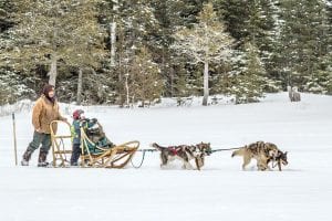 The weather was wonderful for the Dog Days of Winter on Sunday, March 8. There was a great variety of participants in the dog sled and skijor races on Poplar Lake. The crowd enjoyed seeing this tandem sled glide across the ice and snow.