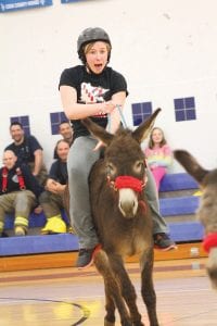 Hilarity was the order of the day at Donkey Basketball on April 6, 2015. The event brought in $4,000 for the upcoming CCHS band trip. Above: Jami Sjogren didn’t have her usual control on the basketball court.