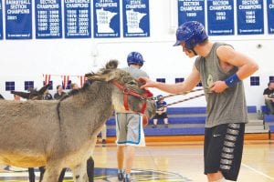 There was a lot of pulling, pleading, and petting during the uproarious Donkey Basketball event at Cook County High School on Monday, April 6, 2015. The CCHS Band fundraiser was attended by more than 500 people who came to see three matches—the junior class versus the senior; Cook County Sheriff’s Office versus the Grand Marais Fire Department; and a final match between the junior class and the Sheriff’s Office. The 8-minute championship game was a tie, so the winner was determined by a dance off between Deputy Jesse Johnson and Owen Anderson. Anderson is pictured here, coaxing a donkey across the centerline. See more of the action on page B7.