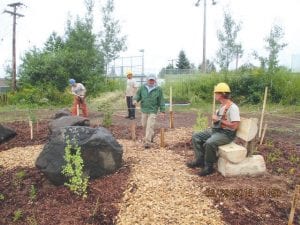 Walking paths and benches were added to the rain garden behind the Community Center hockey rink. Stormwater runoff collects in the rain garden to slow and clean the water and native plants offer habitat for local wildlife species and citizen viewing enjoyment.