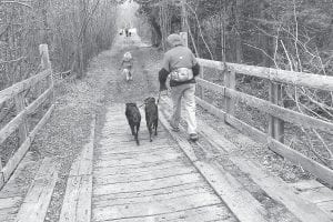 Above: People of all ages enjoyed walking—or running with— their dogs on the lovely trails behind Sawtooth Elementary School. Left: The girls from Troop 4070 show off the trophies they made for humans— and the biscuits they made for the canine participants in Trails for Tails.