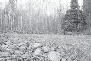 Senior housing will eventually be built by the Tofte township in this clearing. The township hopes the homes will be in place and ready for rent by October 1, 2015.