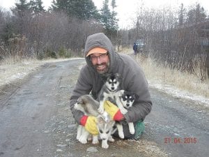 Matt Groth of Grand Marais Sled Dog Adventures is spending the summer raising a new crop of racers.