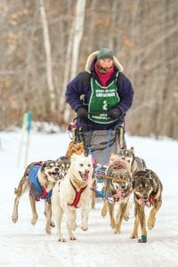 Above: Rita Wehseler took first place in the Apostle Islands Sled Dog Race in February. Wehseler said the Apostle Island race is a great puppy training race.