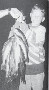 Andrew Kettunen celebrated his 10th birthday by helping to catch this nice mess of walleyes with his new fishing equipment, as documented in this July 3, 1995 photo.