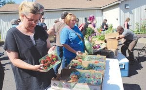 A large crowd gathered at the inaugural “Local Food Market” on July 23 at the Cook County Community Center. Vendors offered locally grown and produced foods including maple syrup, a bounty of fresh vegetables, herbs, homemade pasta, bread, cakes, cookies, and wild rice. Strawberries grown by the Wilson family of Hovland were a crowd favorite, and sold out by 4:30! This new foodonly farmer's market will run every Thursday from 4 – 6 p.m. at the Community Center through August, and possibly later into fall. Anyone interested in selling local foods is encouraged to contact Diane Booth at the Community Center at 387-3015 or Kristin Wharton at Sawtooth Mountain Clinic at 387-2330.