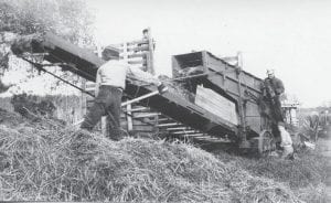 This Cook County Historical Society photo doesn’t give the names of the people in the photo, but the annotation says, “Threshing at Palmer Berglund’s farm, 1968.” The farm is now home to Lake View Natural Dairy.