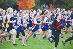 Good cross country teams try to run in a pack, and that’s what the Cook County/Two Harbors cross country team did at the Hibbing meet. Above (L-R), Maya McHugh, Isabel Schottenbauer, Matea Acero and Abigale Seipke did just that for much of the race.